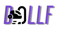 Онлайн-магазин по продаже вертикальных и роботов пылесосов  Dollf